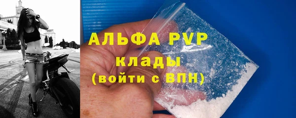 прущие грибы Костерёво