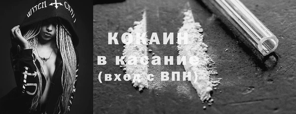 прущие грибы Костерёво
