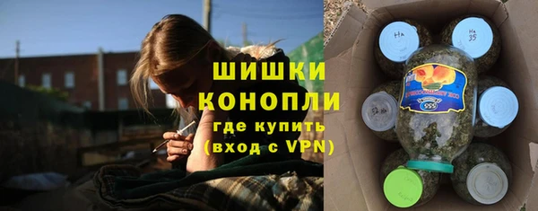 прущие грибы Костерёво