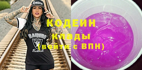 прущие грибы Костерёво