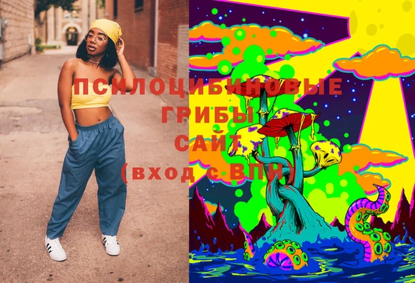 стафф Шадринск