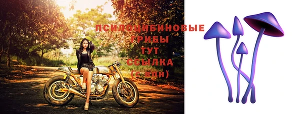 прущие грибы Костерёво