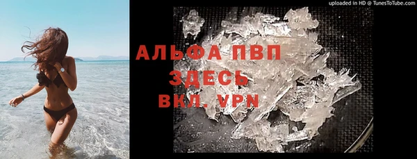 сатива Шарыпово