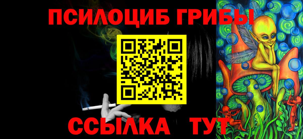 Псилоцибиновые грибы GOLDEN TEACHER  купить   Вход с VPN  Новочебоксарск  Псилоцибиновые грибы Cubensis 